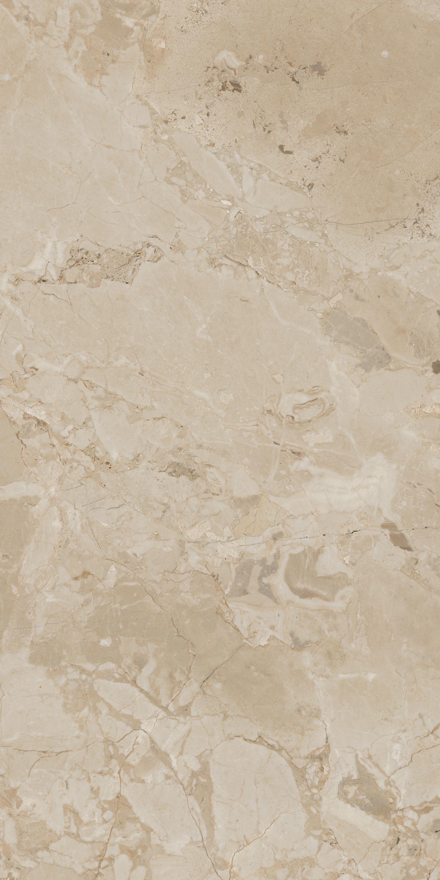 610010001538 На пол Вивальди Крим Рет 60x120 - фото 4