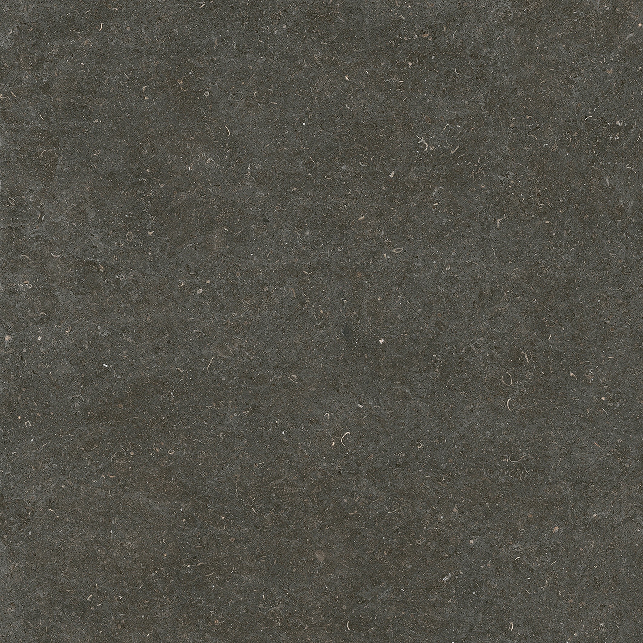 785581 На пол Rinascenza Arena Platino Matte 6mm 120x120 - фото 2