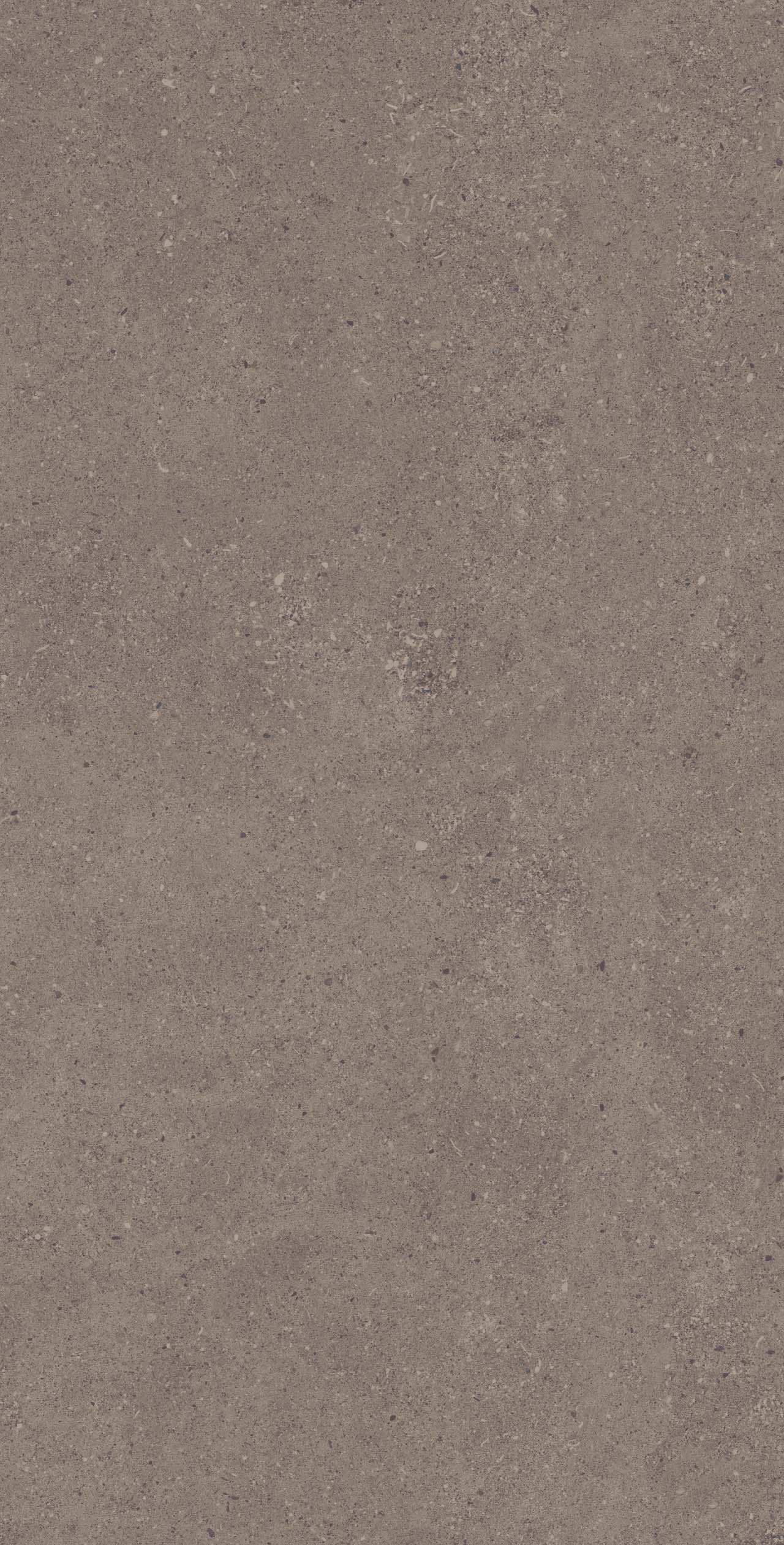 CE04/NR_R9/60x120x9R/GW На пол Спенс CE04 Темно-серый Структурированный Рект 60x120x9 - фото 4