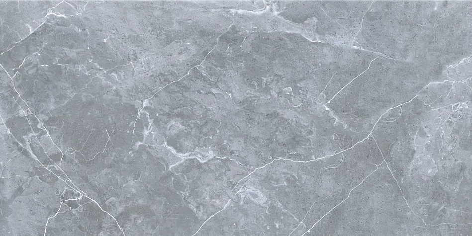 GRS02-12 На пол Petra Northern Silver матовый 120x60