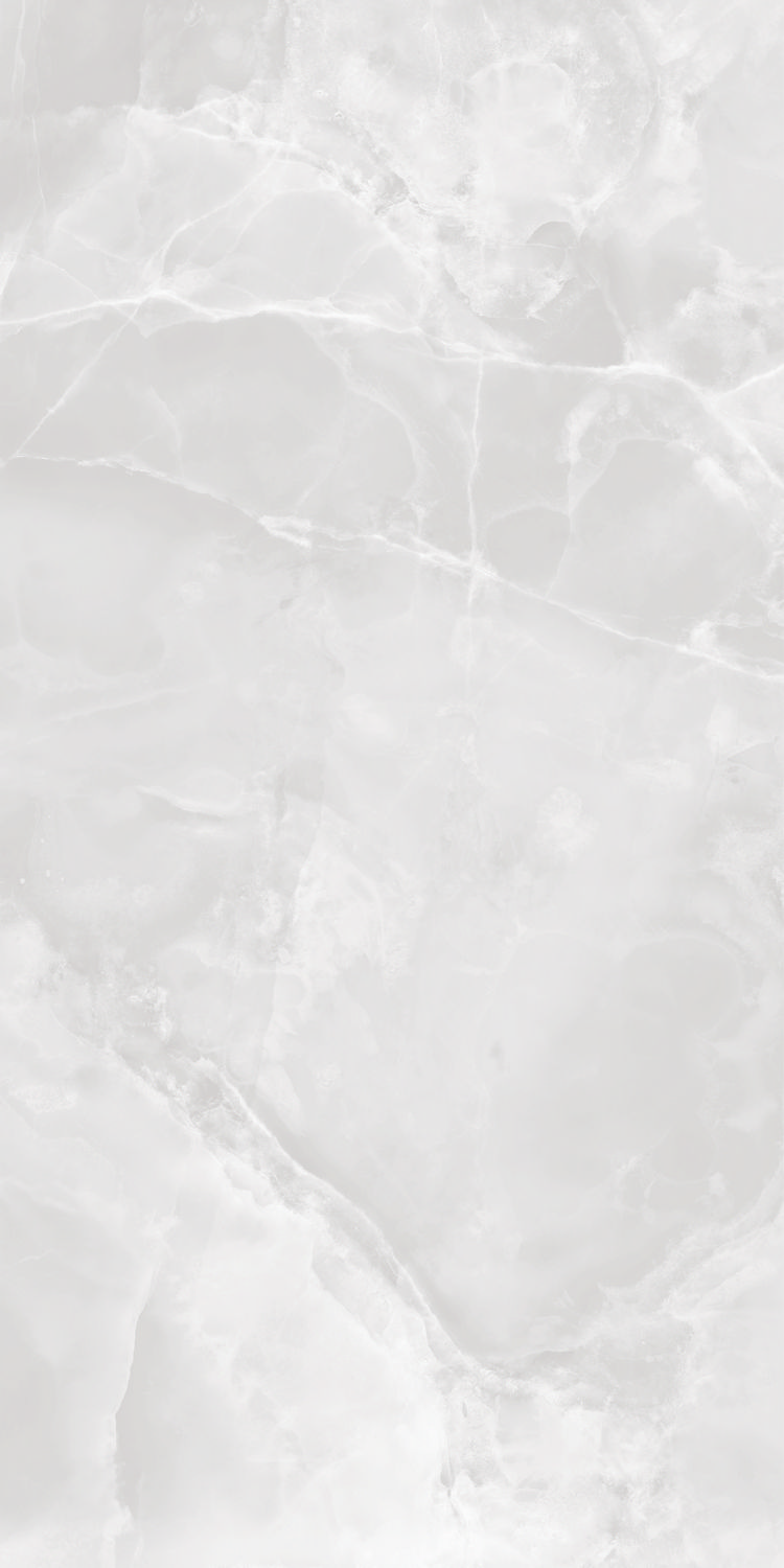 GT1206010703PR На пол Favorito Белый 60x120