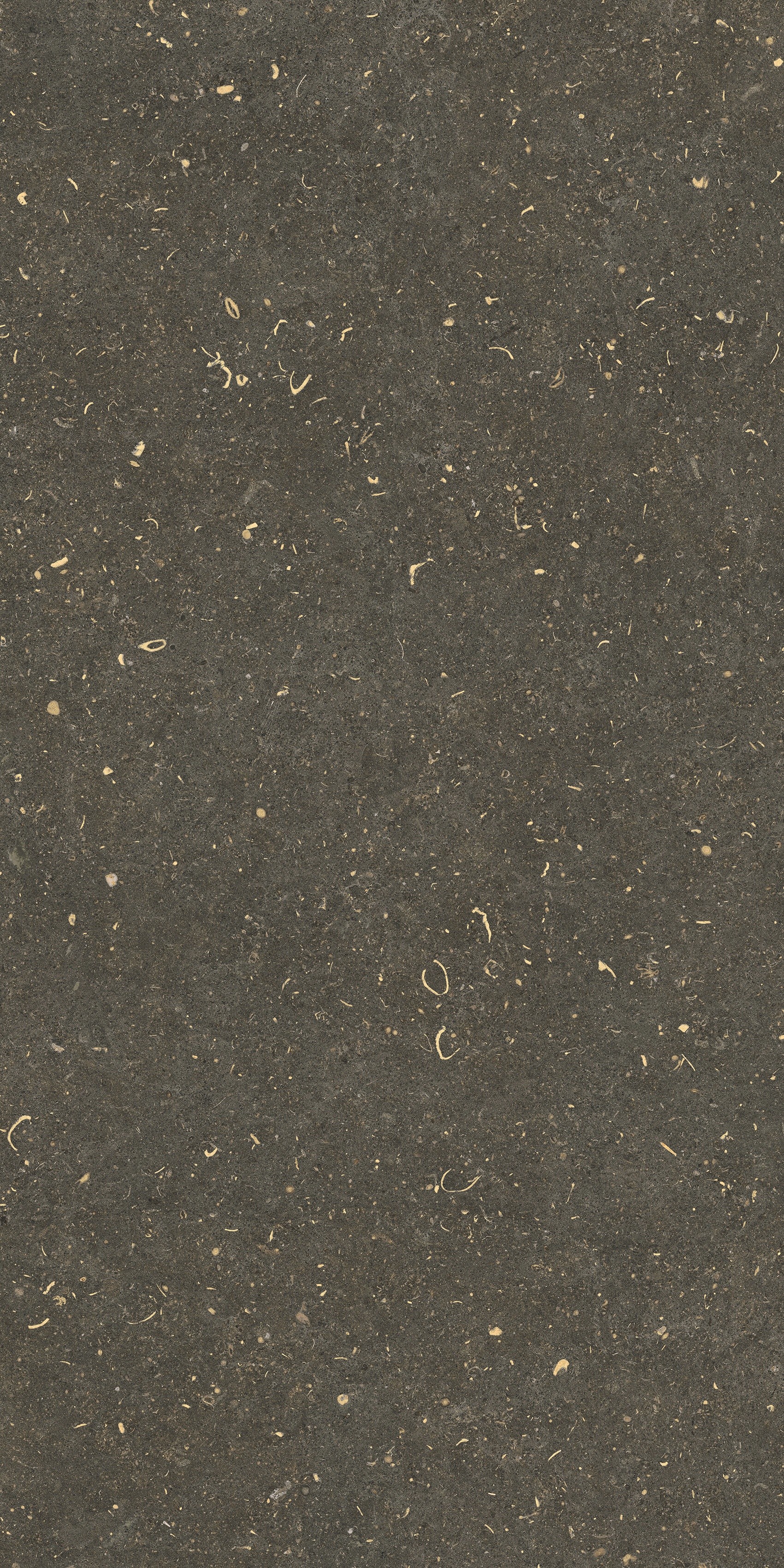 785483 На пол Rinascenza Arena Platino Matte 60x120 - фото 5