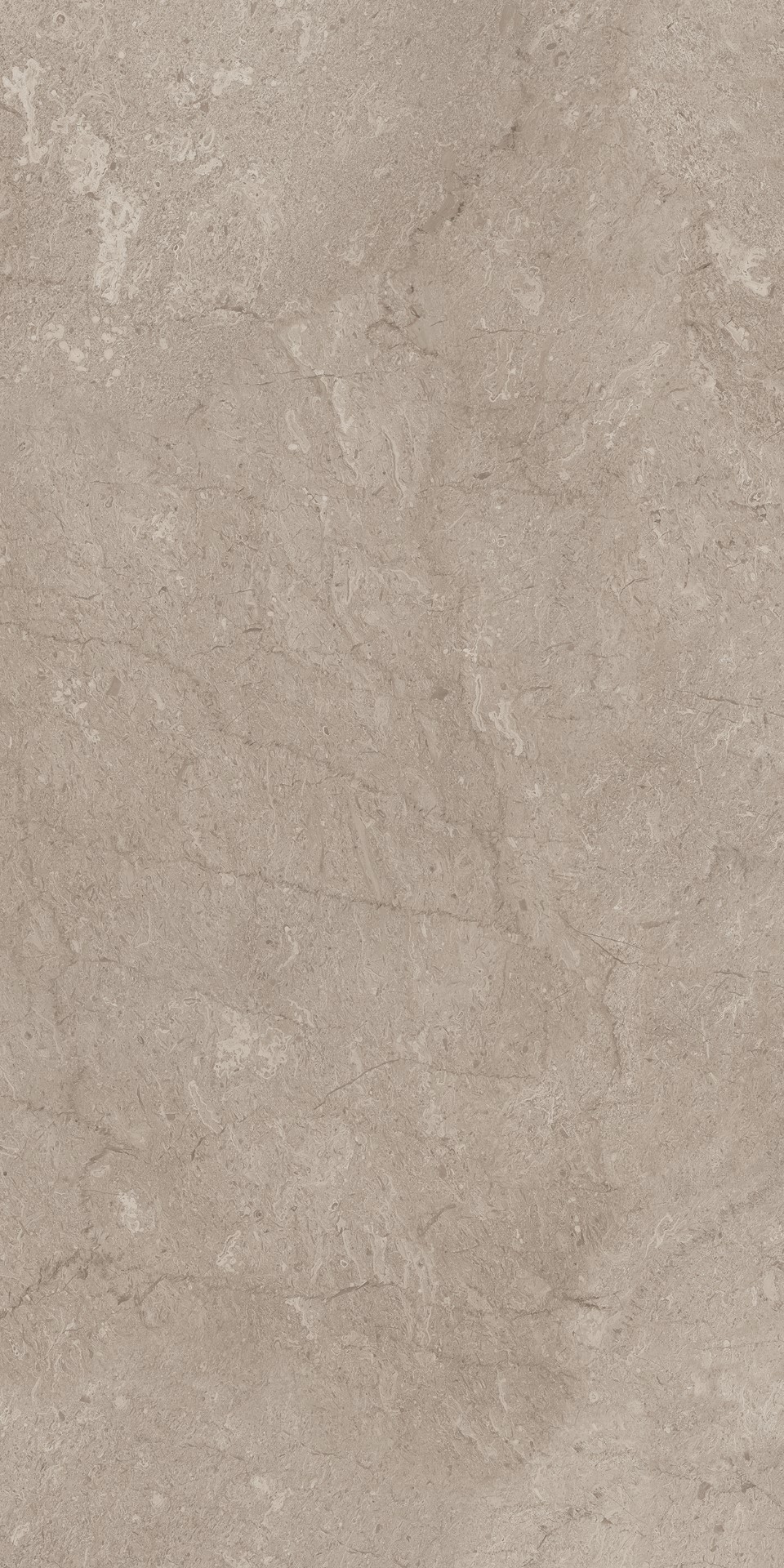 AEM02/NS_R9/60x120x9R/GW На пол Элемента Серый Неполированный Рект 60x120x9 - фото 8