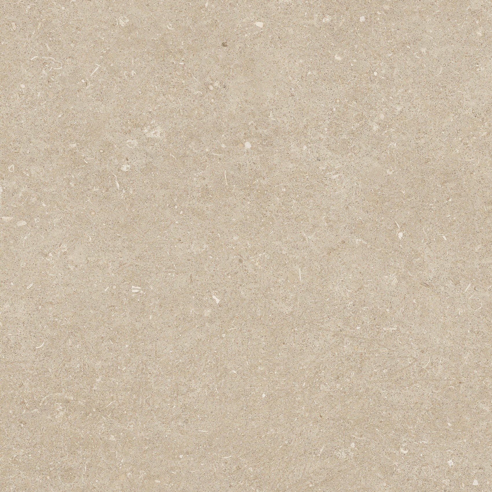 785497 На пол Rinascenza Arena Conchiglia Grip 60x60 - фото 7