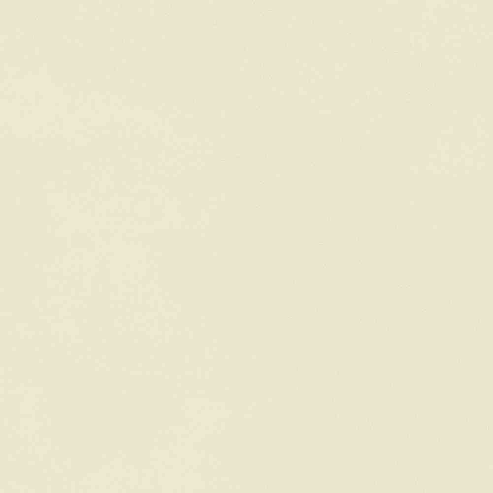 ENCLR6081MT2020 На пол Corsica Beige Matt 200х200х8 - фото 28