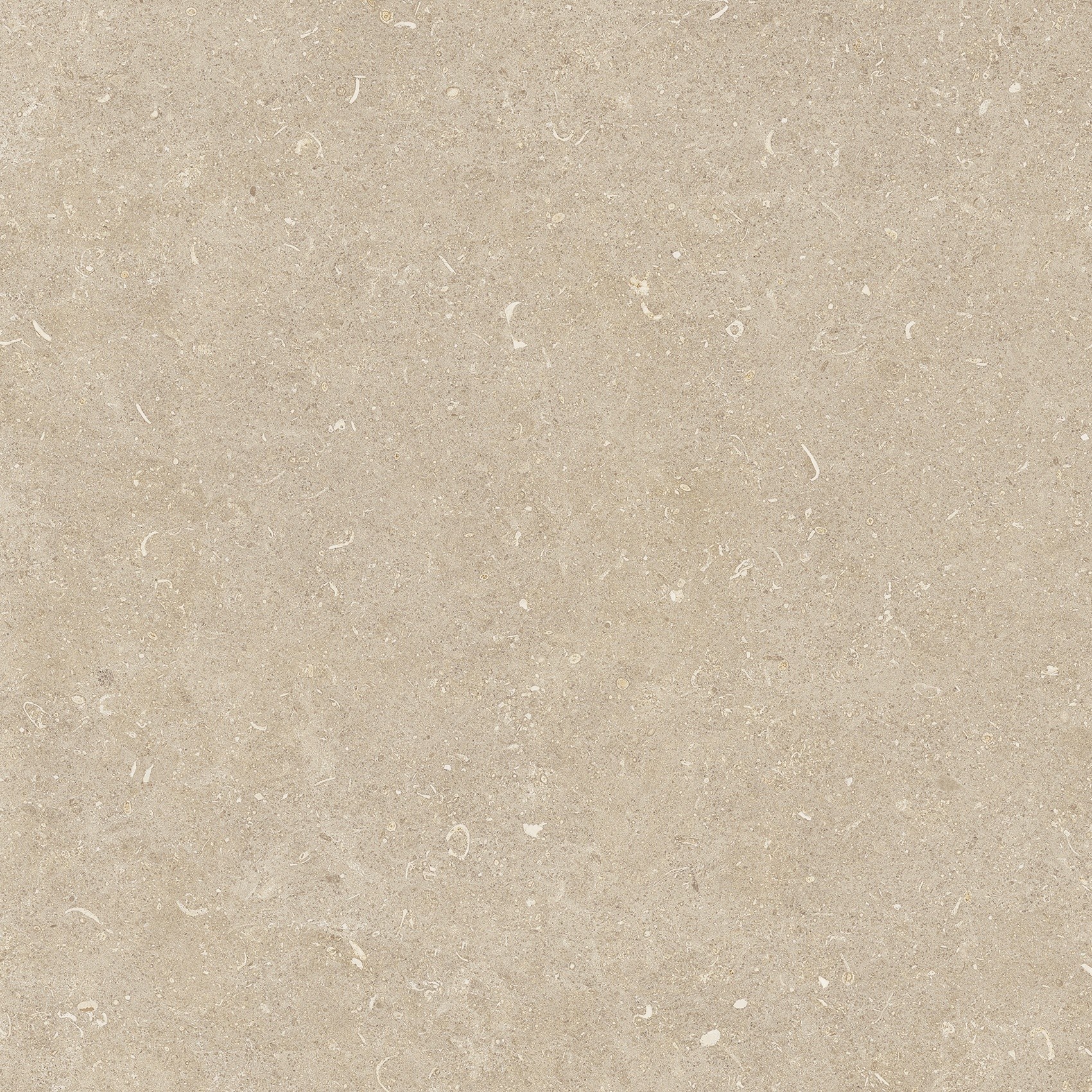 785497 На пол Rinascenza Arena Conchiglia Grip 60x60 - фото 9