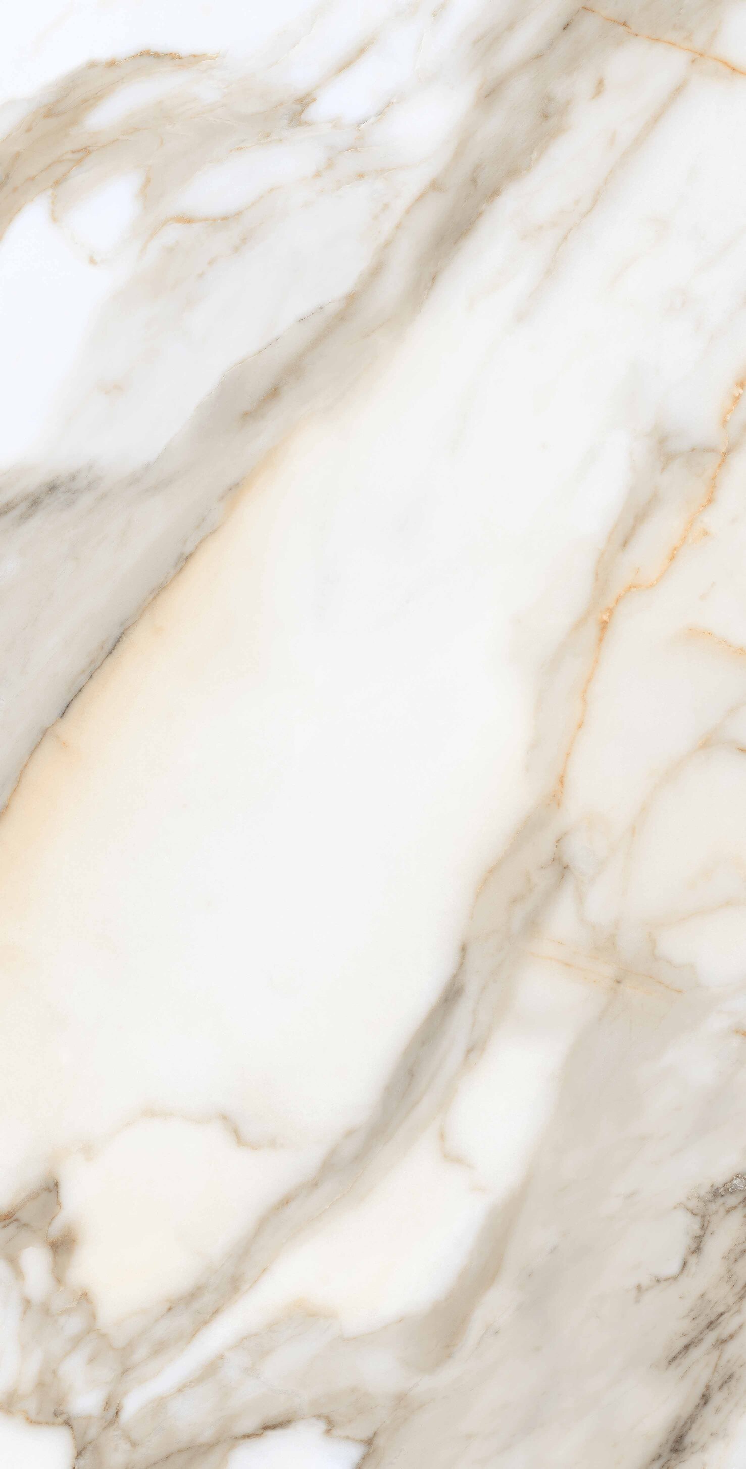 На пол Calacata Gold Polished 80x160 - фото 3