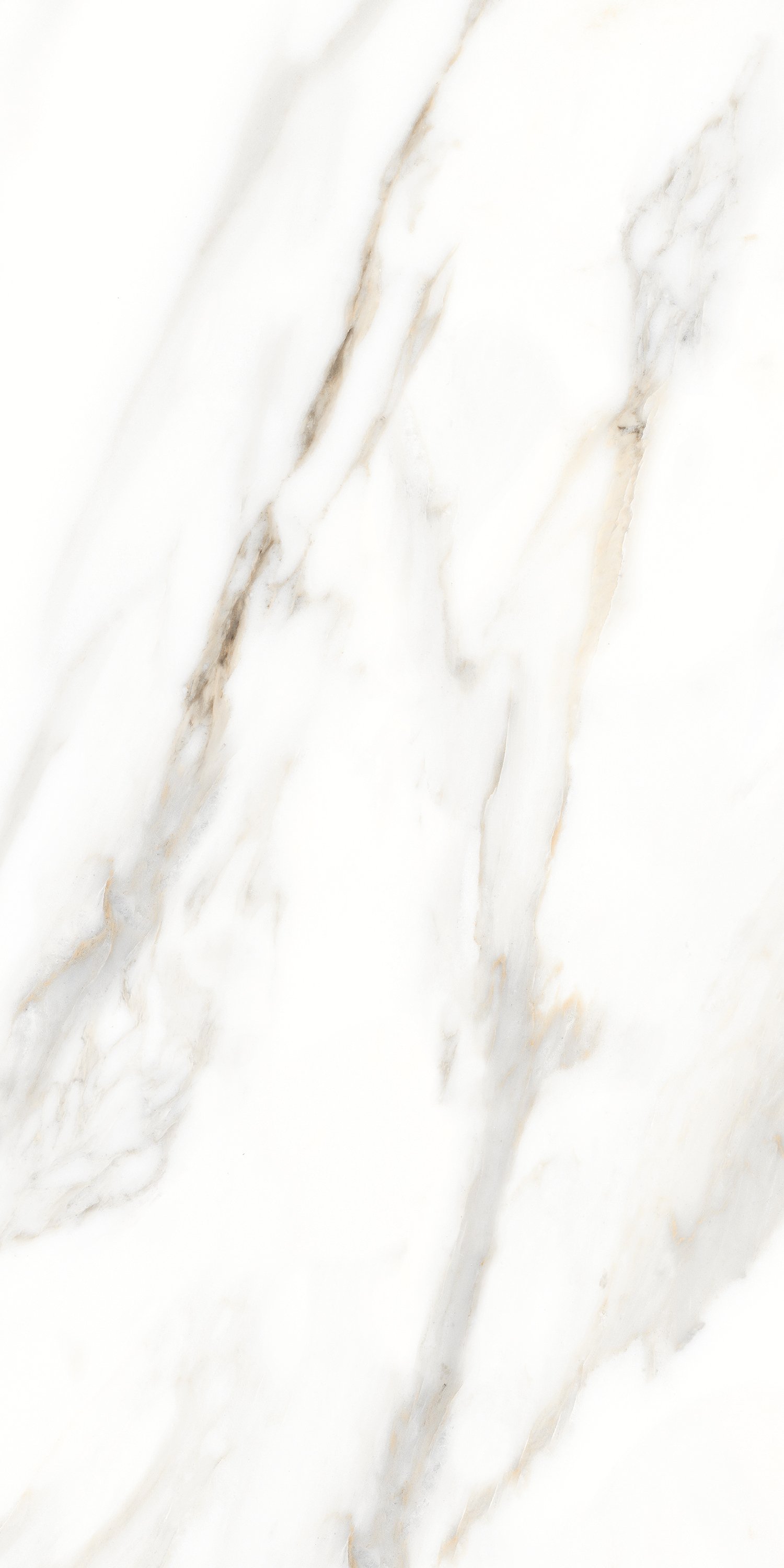 На пол Mix Cararra Gold PGVT 60x120 - фото 7