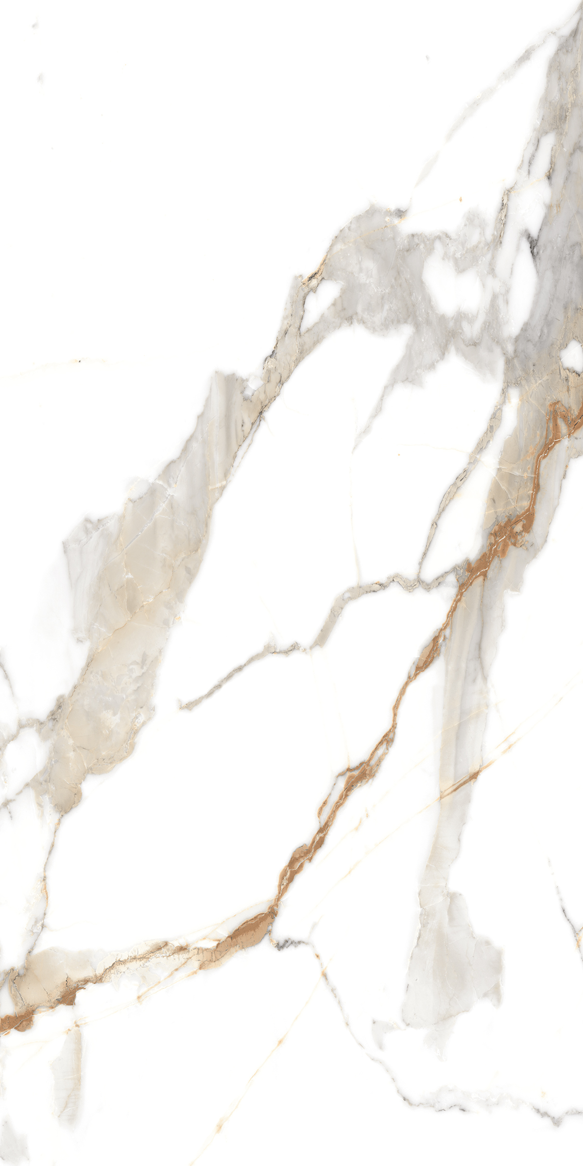 890  На пол Marble 5.5mm Classic Carrara 120x60 - фото 2