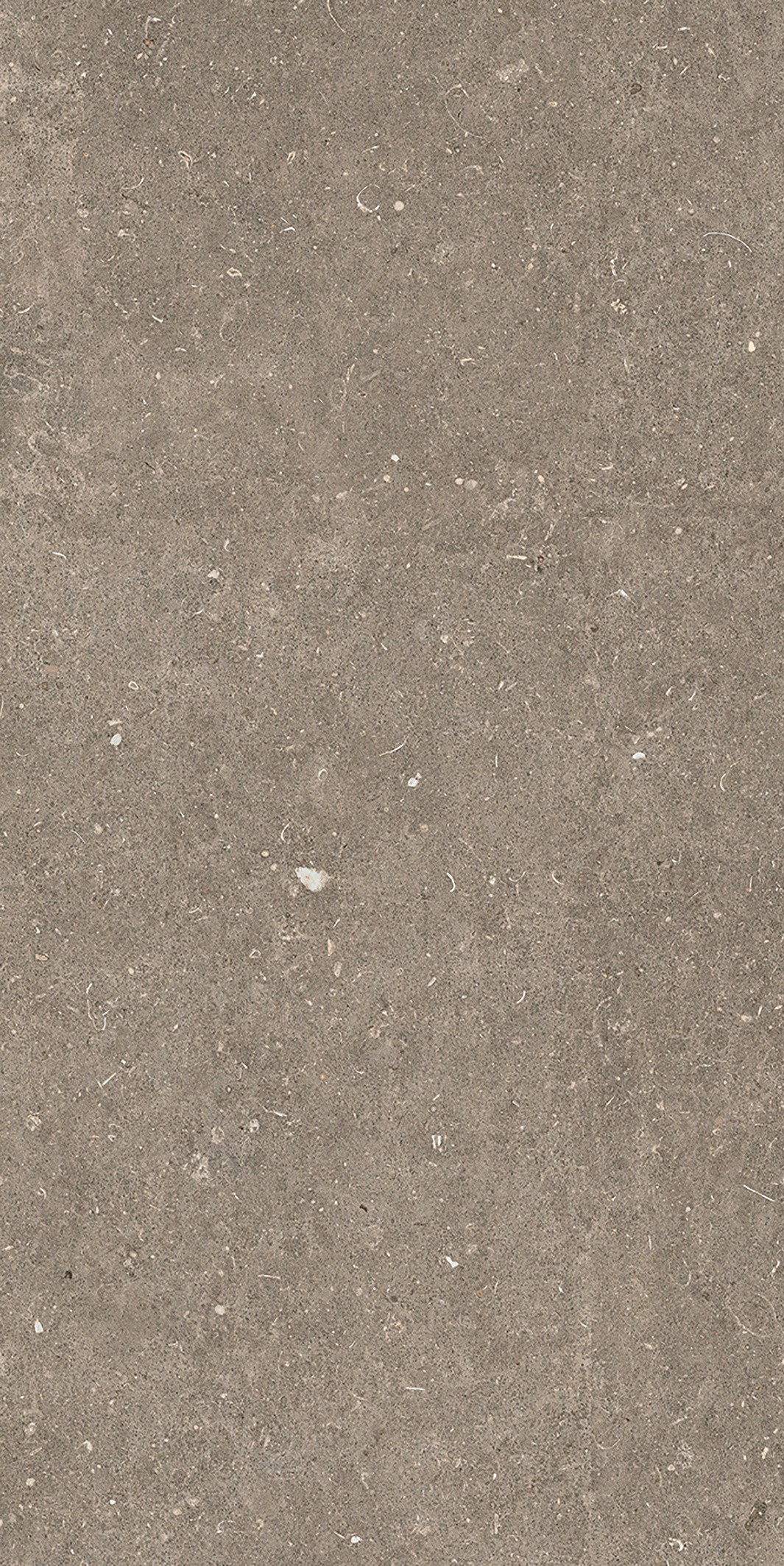 785576 На пол Rinascenza Arena Pietra Matte 6mm 60x120 - фото 4