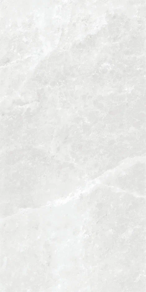 QI612S4090M  На пол Elf Stone Polish 60x120 - фото 7