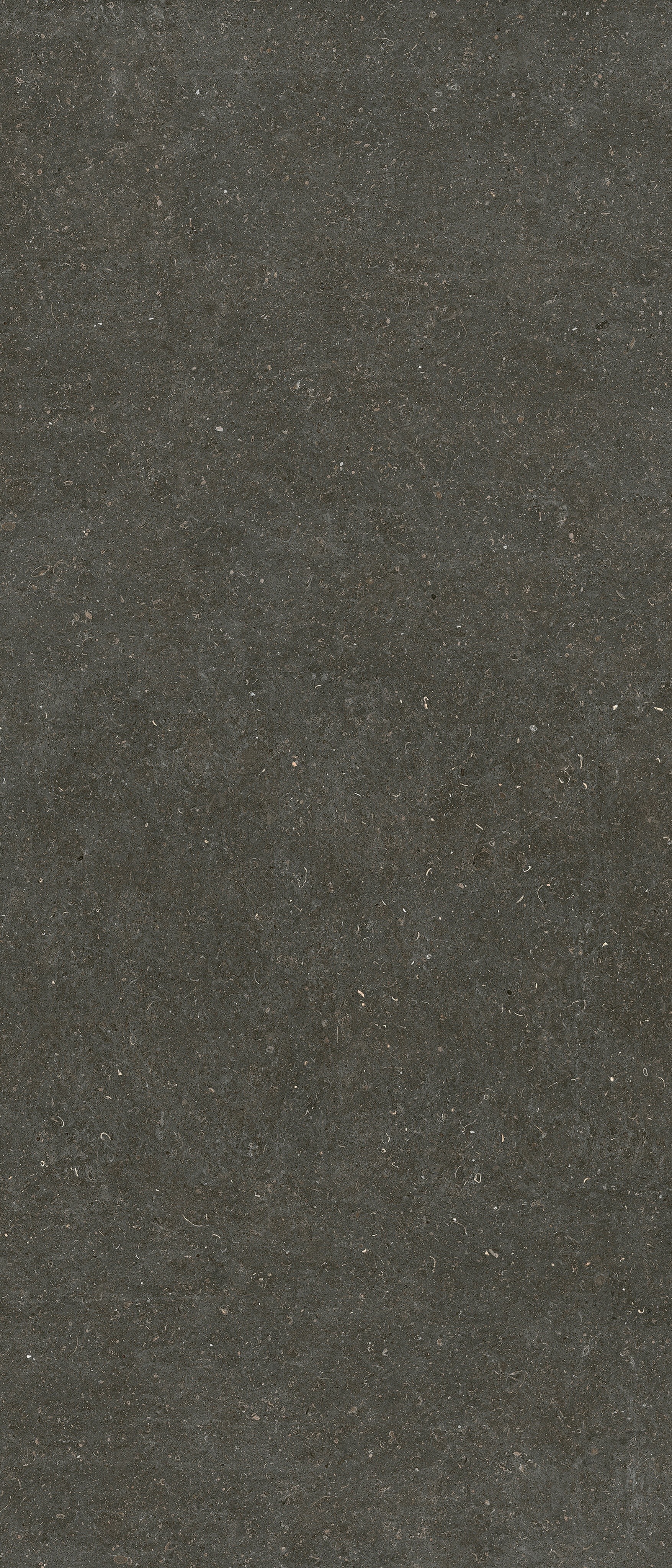 785573 На пол Rinascenza Arena Platino Matte 6mm 120x280 - фото 3