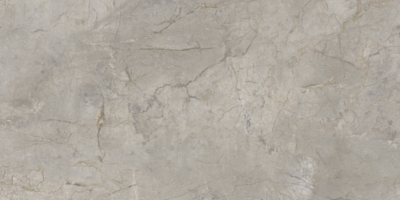 2ASK На пол Elements Lux Silver Grey Silk RT 60x120