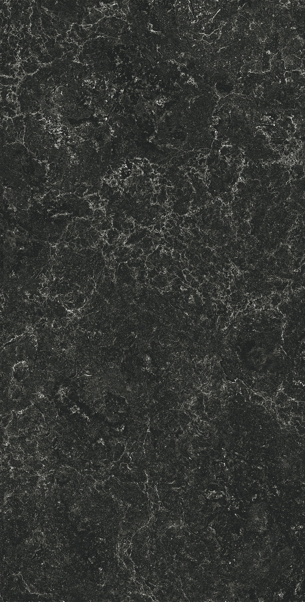 GI8014-CB На пол Palatino Nero Glossy Ink 60x120 - фото 3