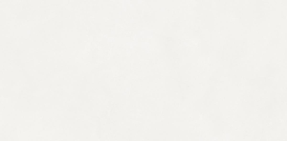 N110011 На пол Loft Aston White Matt 60x120 - фото 2