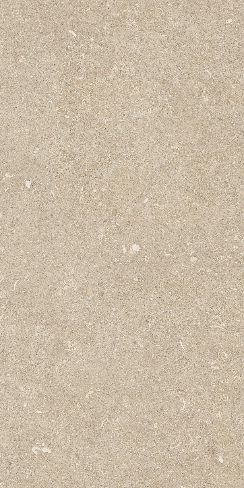 785489 На пол Rinascenza Arena Conchiglia Matte 30x60 - фото 4