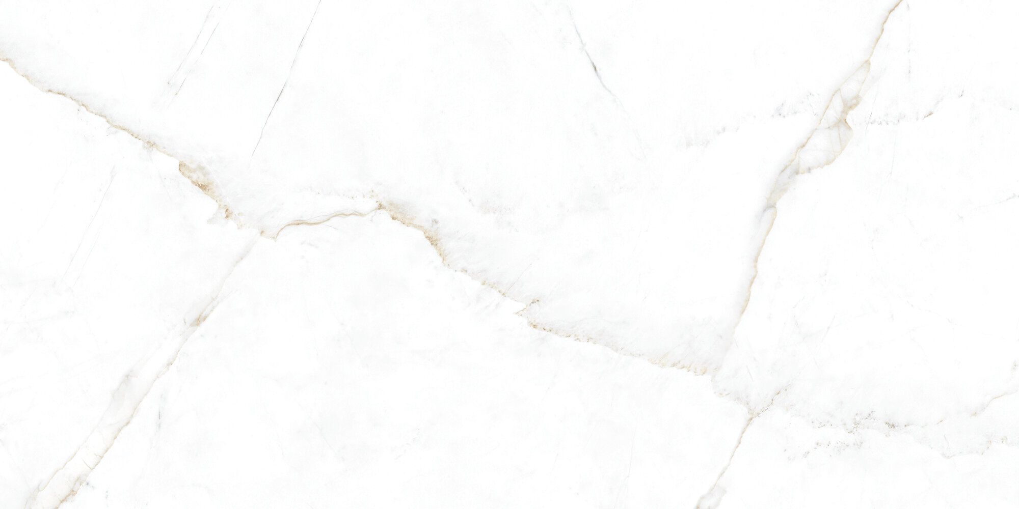 31741 На пол Museum Dual White EP 60x120 - фото 4