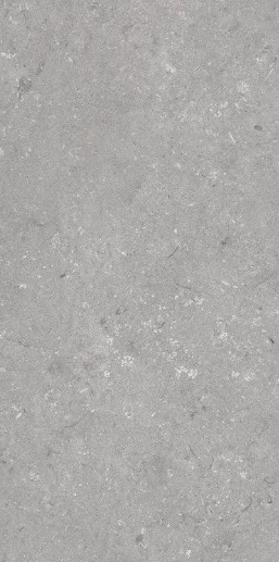 005485 Напольный Shellstone Grigio 60x120