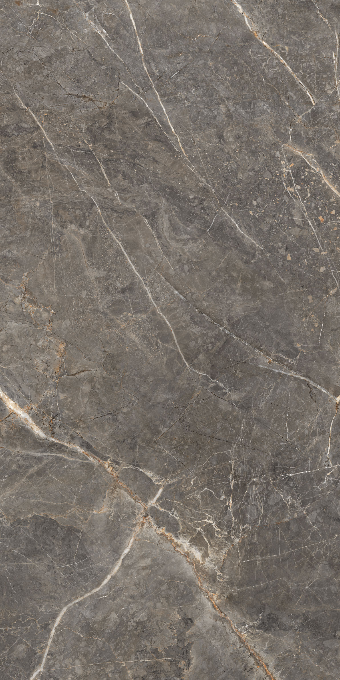 GT1206023109MGR На пол Salsa Темно-серый 60x120 - фото 8