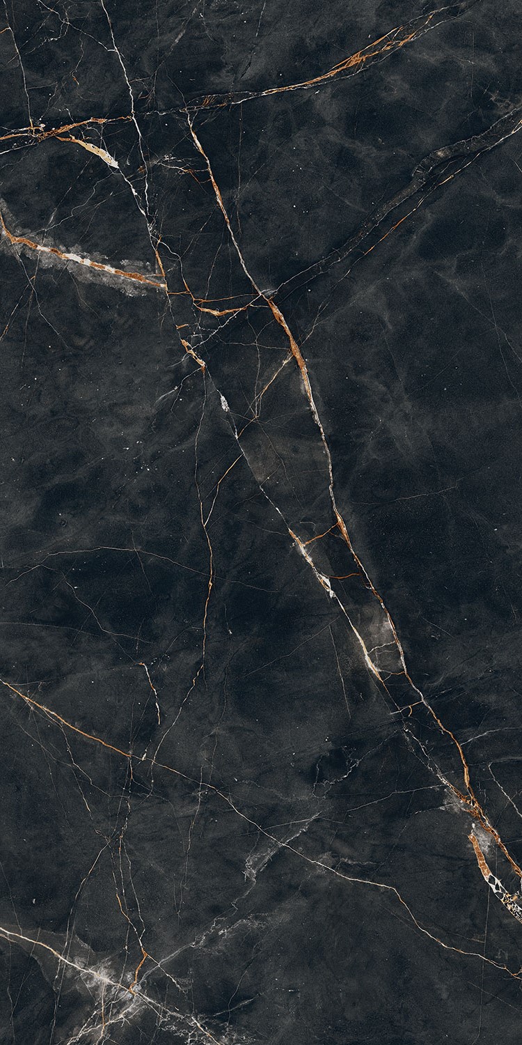 PP-01-233-1198-0598-1-062 На пол Shinestone Black Pol 119.8x59.8 - фото 4