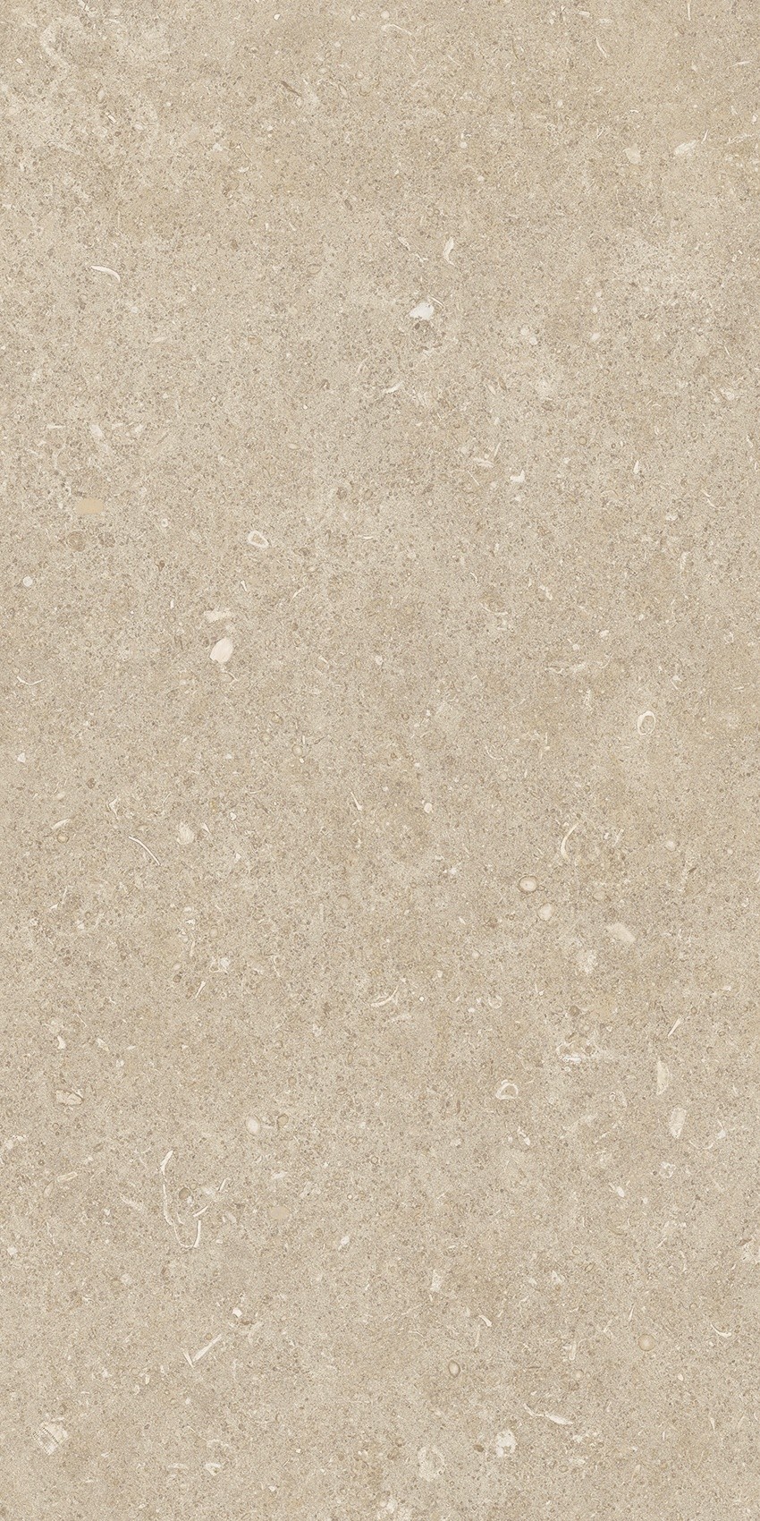 785501 На пол Rinascenza Arena Conchiglia Grip 30x60 - фото 9