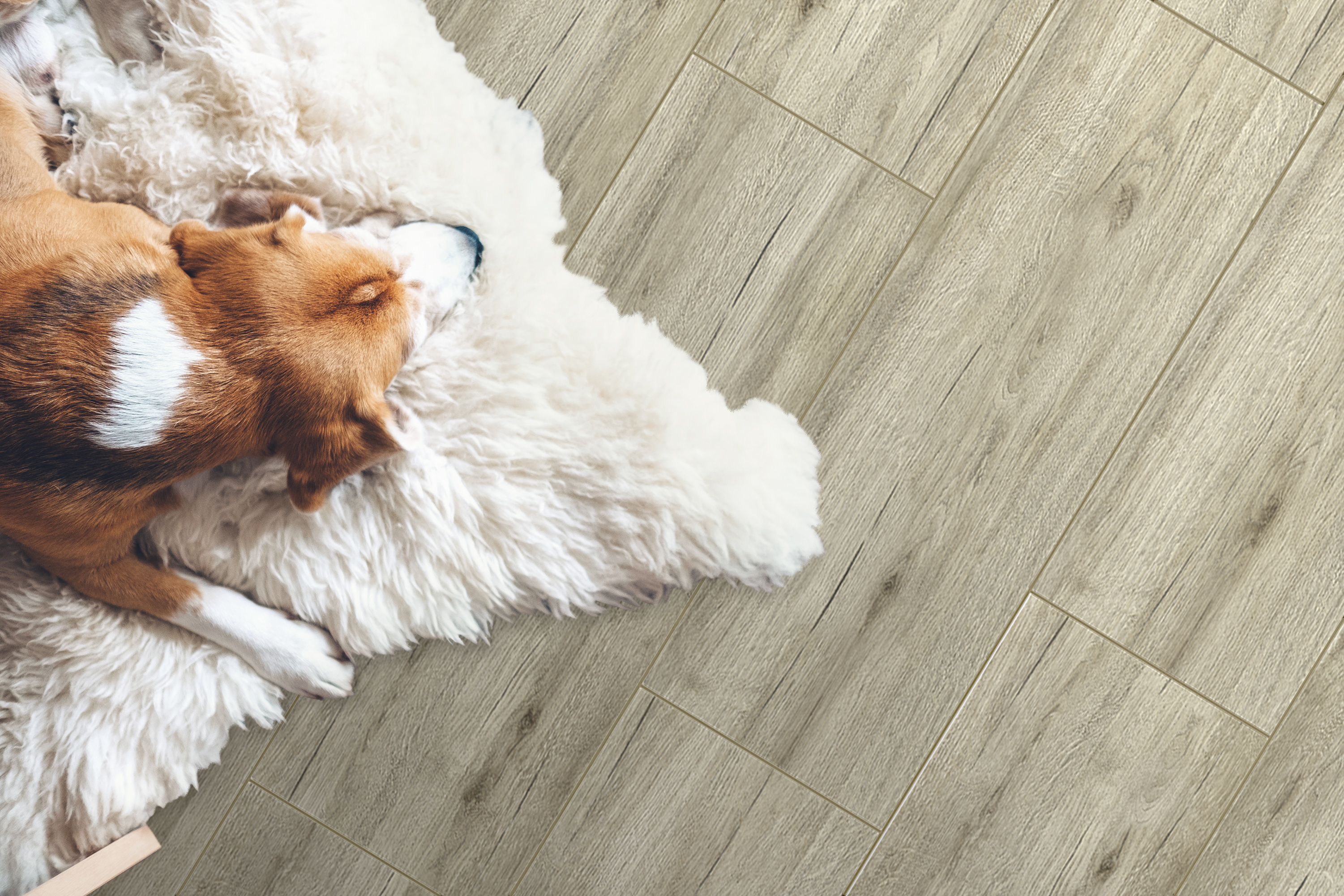 Глобал Тиле Джизак