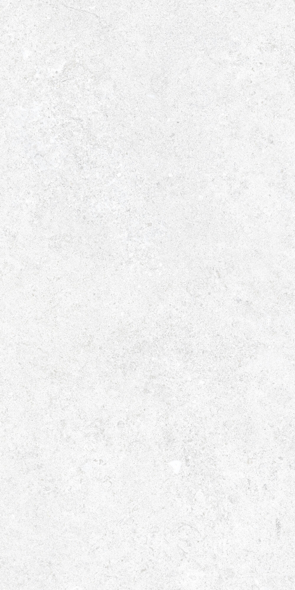 36905 На пол Cluny White 4D/50X100X2/A/R 50x100 - фото 22