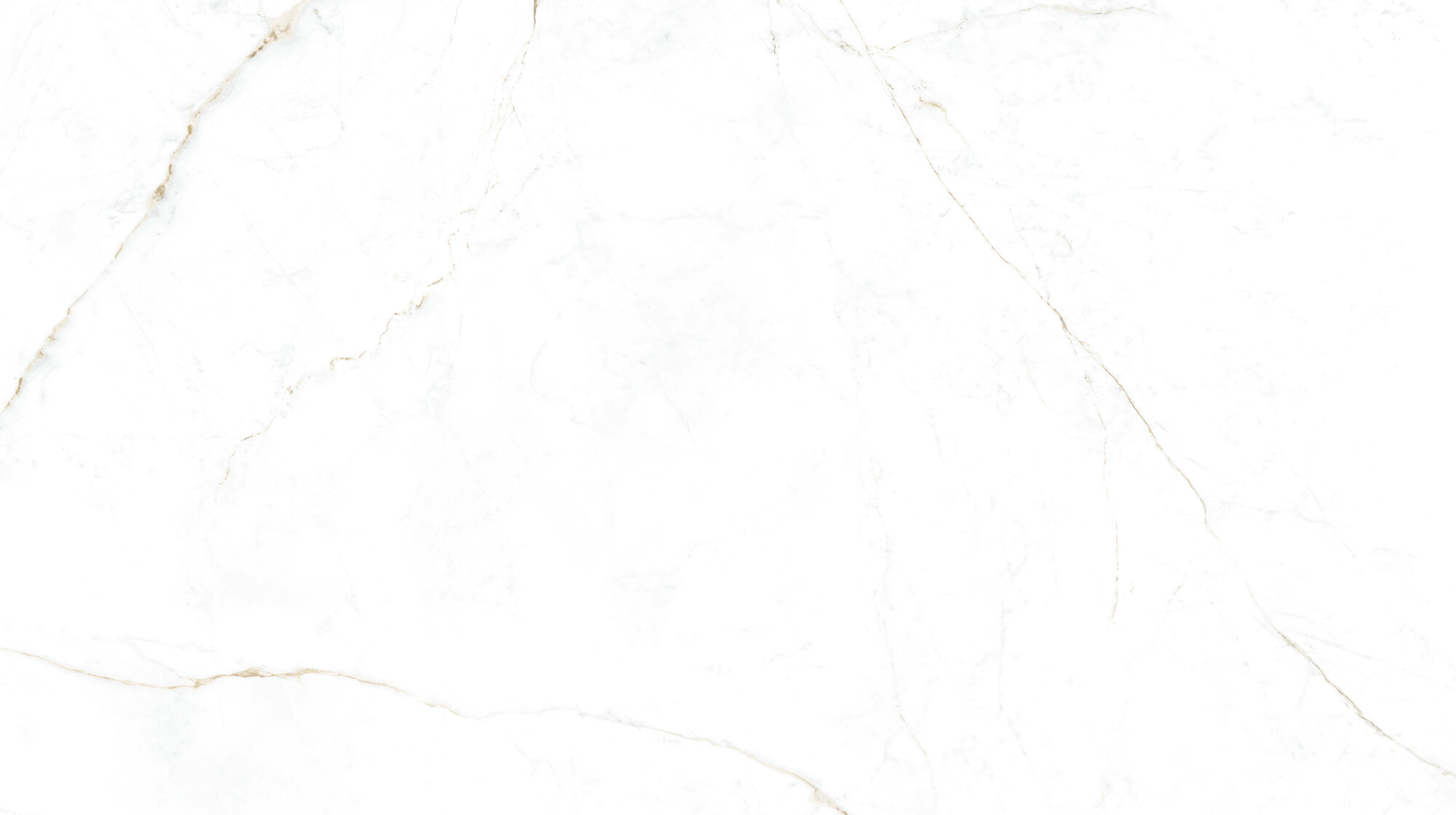 31744 На пол Museum Dual White SP/R 100х180 - фото 2