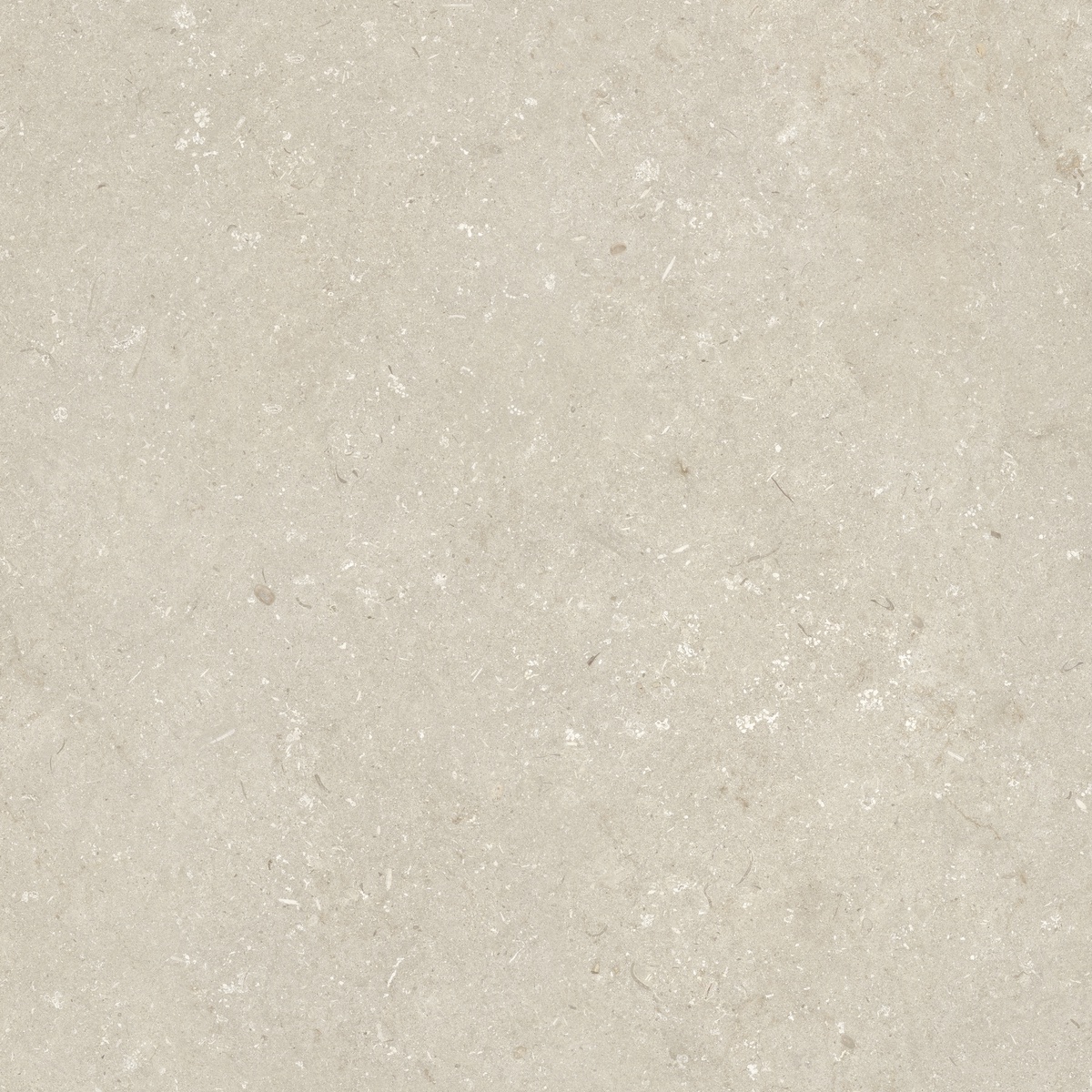 005848 На пол Shellstone Beige 120x120