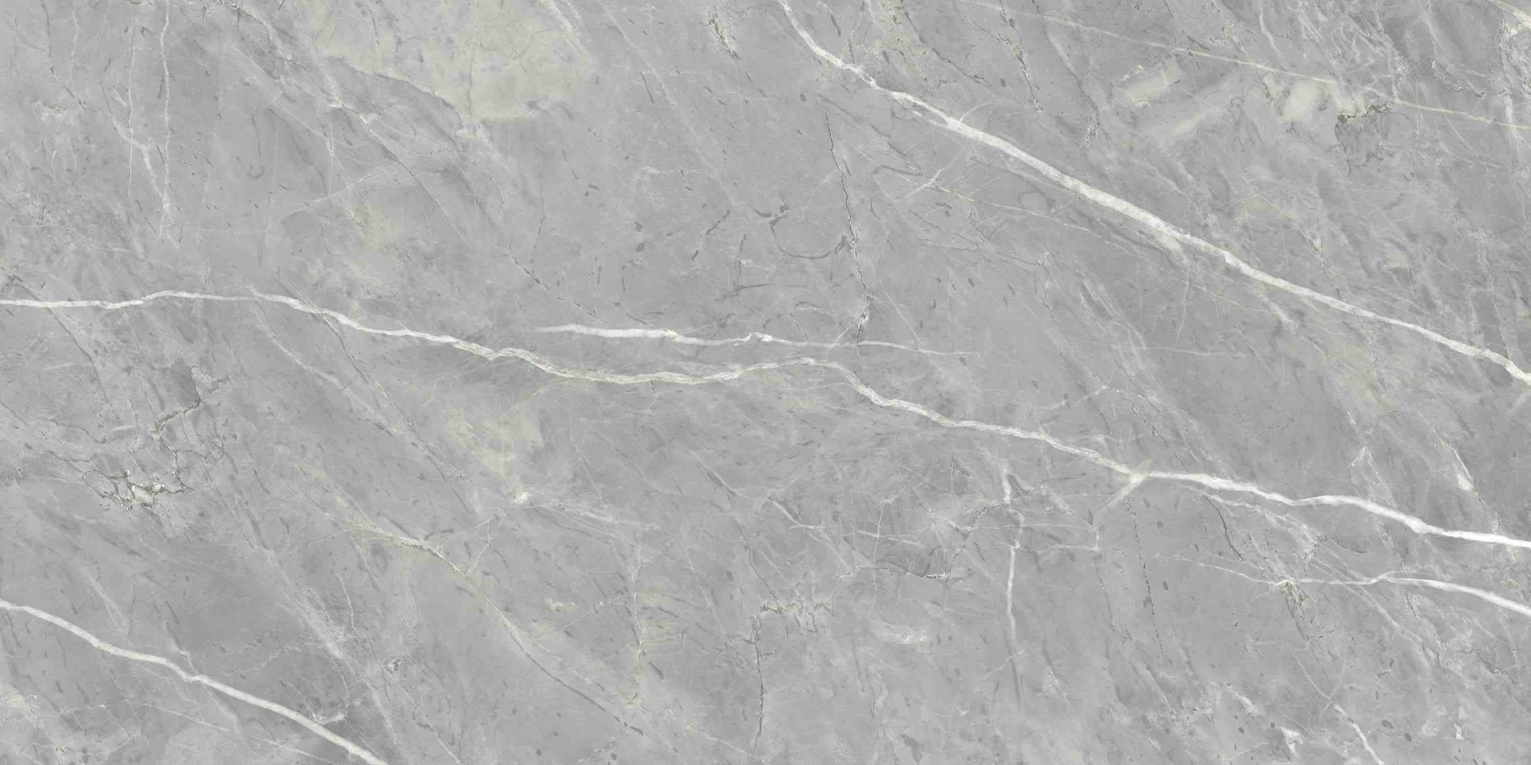 ENSTN8003LM60120 На пол Stone Marcasite Glossy 60x120 - фото 2