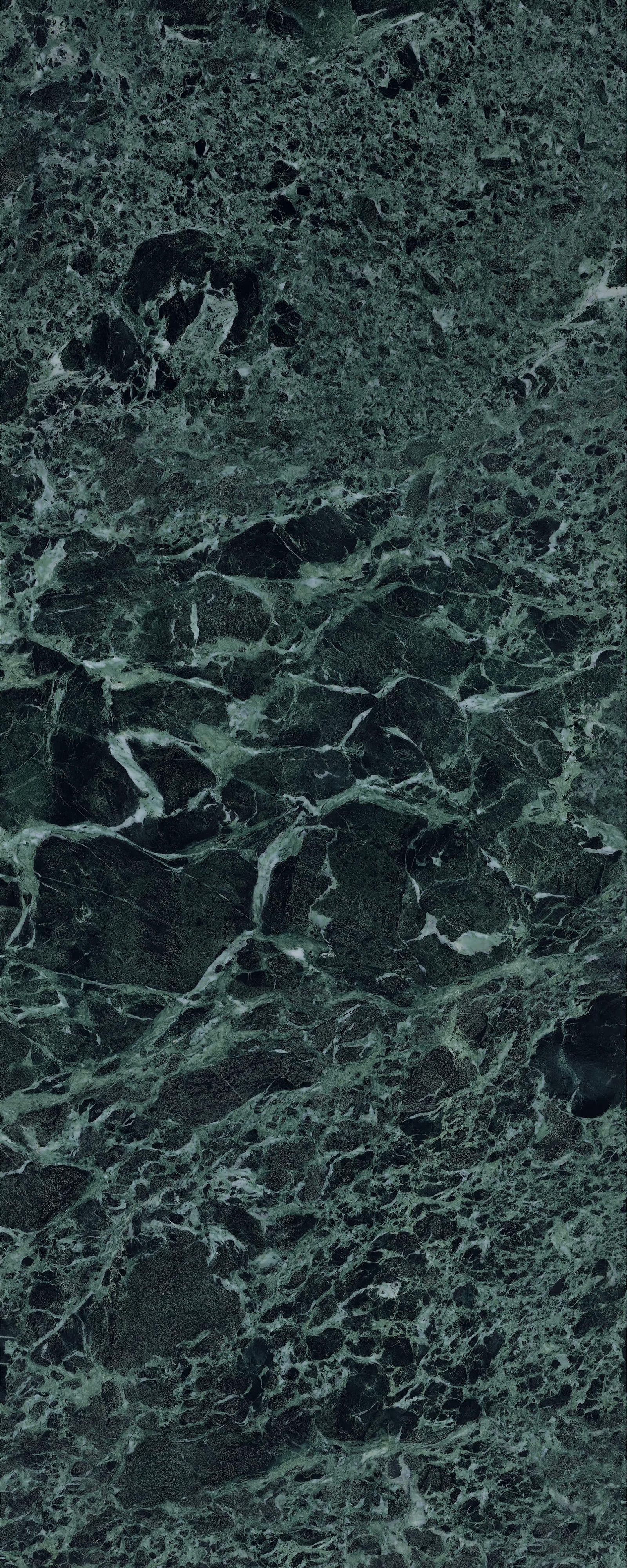 LAMFF01229_IT На пол I Naturali Marmi Verde Alpi Lucidato 5 1200x3000 - фото 2