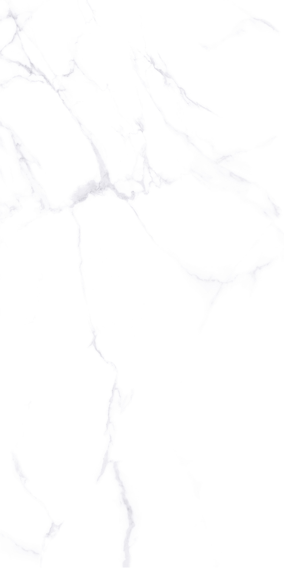 ZA-L12605 На пол Lande 605 PR 1200x600x9 - фото 4