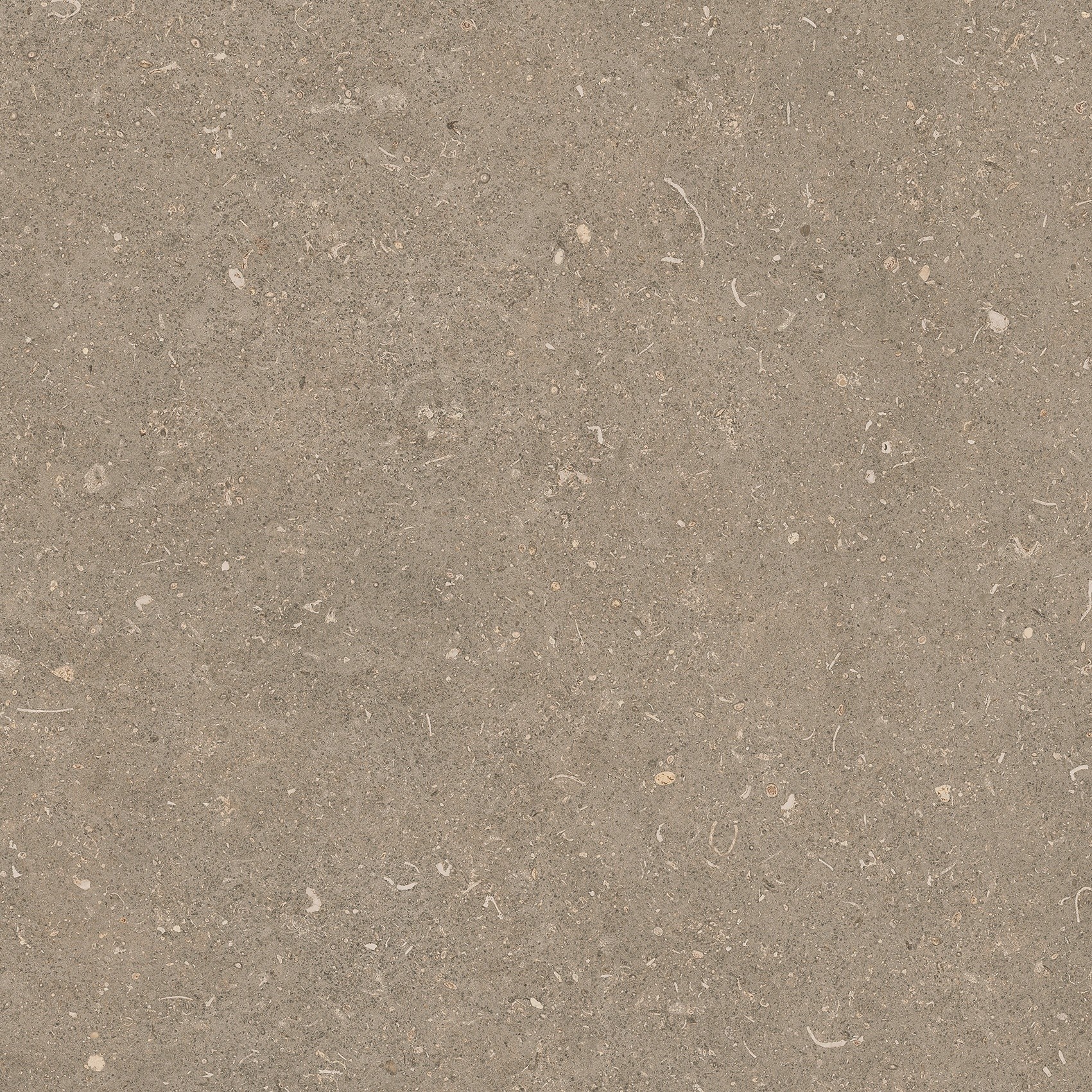 785486 На пол Rinascenza Arena Pietra Matte 60x60