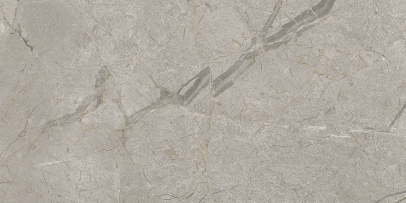 2A22 На пол Elements Lux Silver Grey Lap Rt 120x60