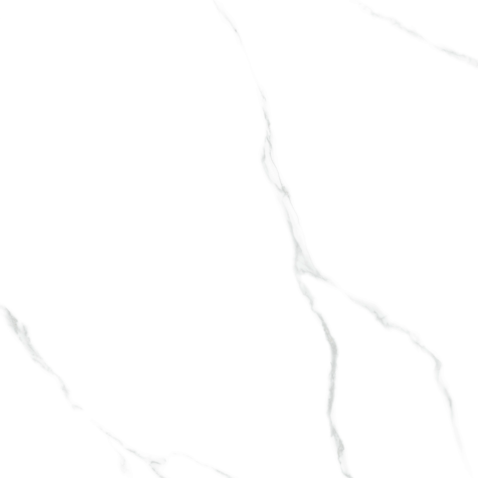 6060AMR00P На пол Atlantic Marble White 60 - фото 4