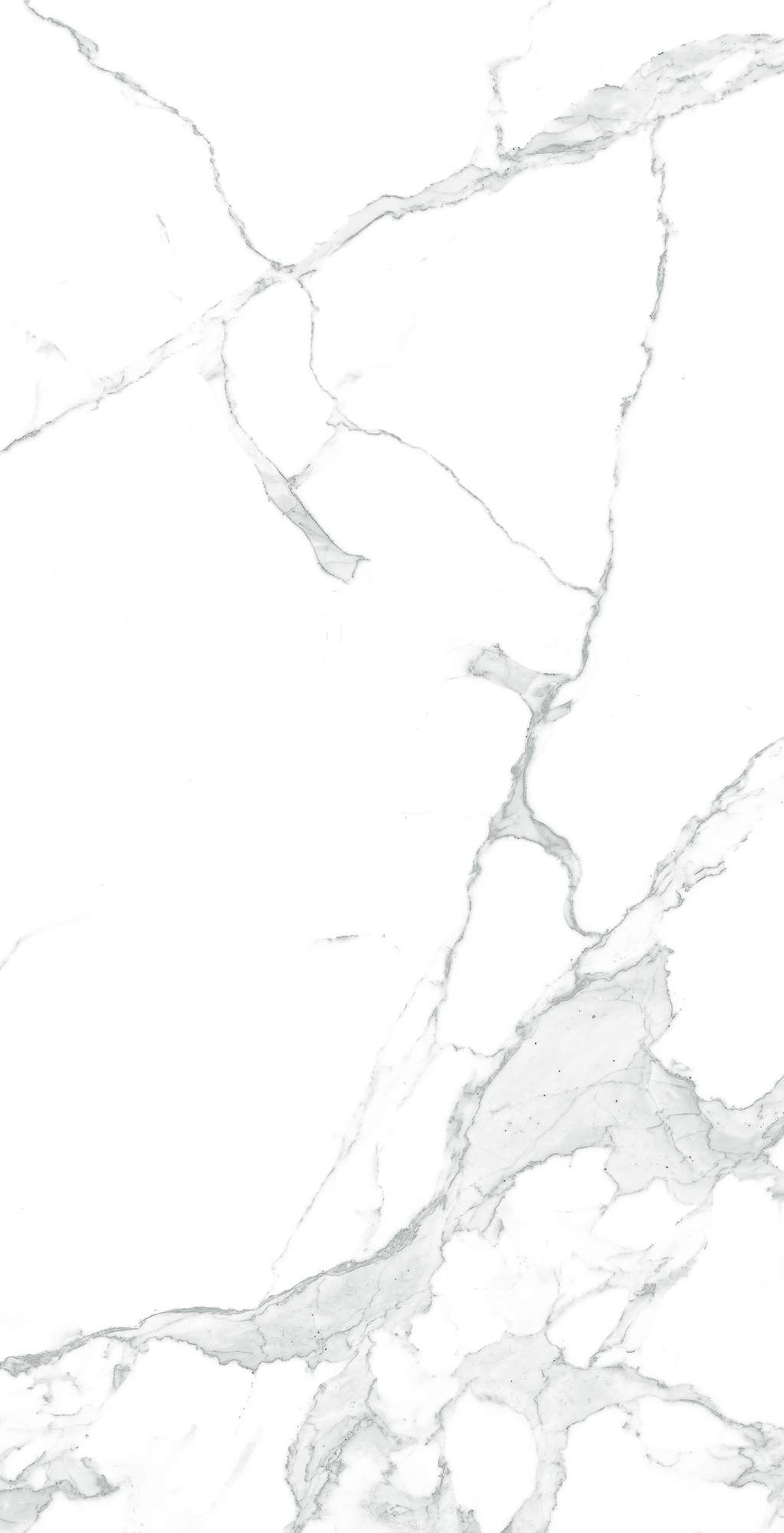 CR4003-A На пол Paradise Statuario Carving 60x120