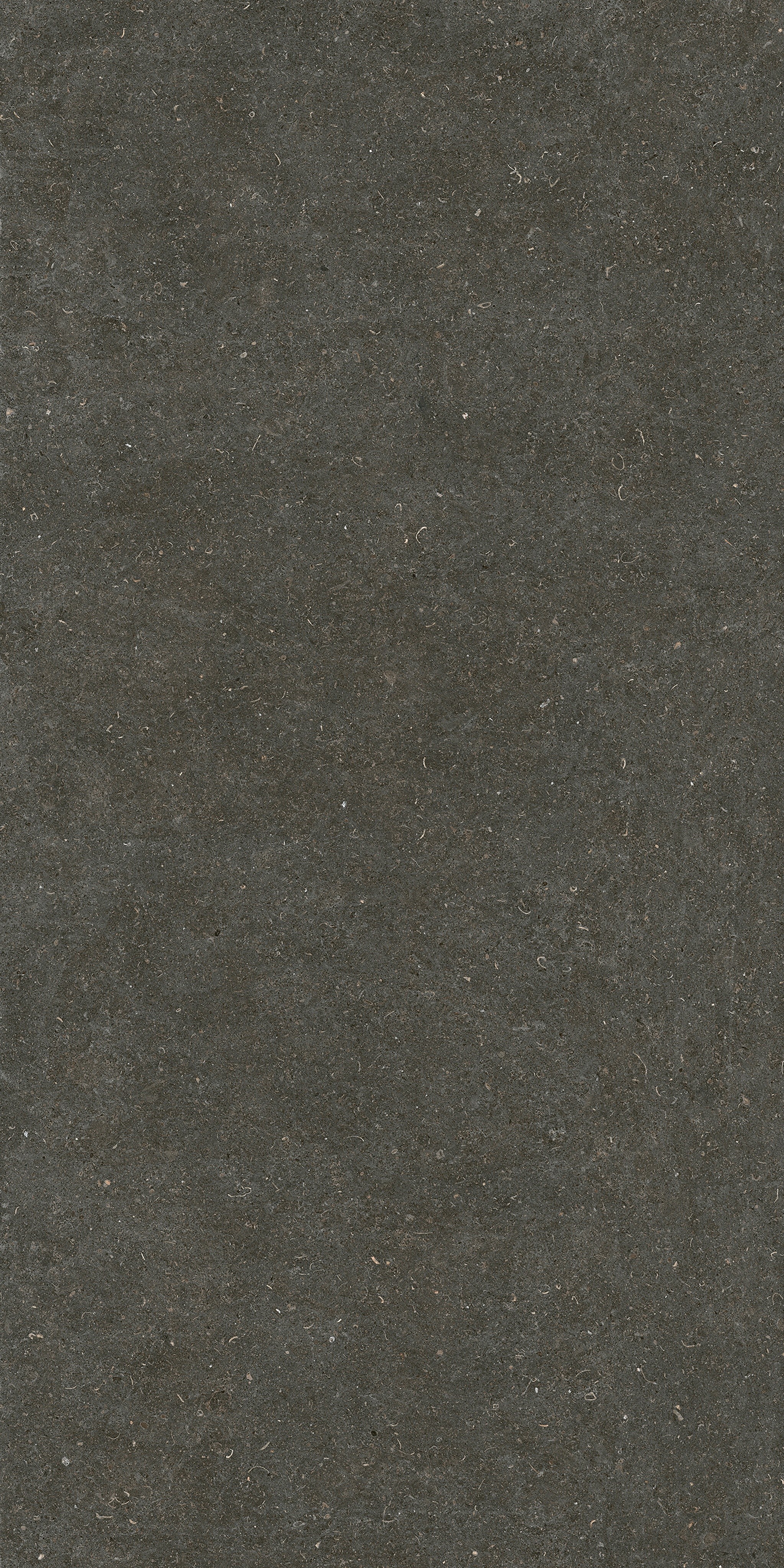 785585 На пол Rinascenza Arena Platino Matte 6mm 120x240 - фото 2