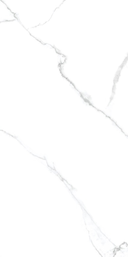На пол Atlantic White Glossy 60x120 - фото 2