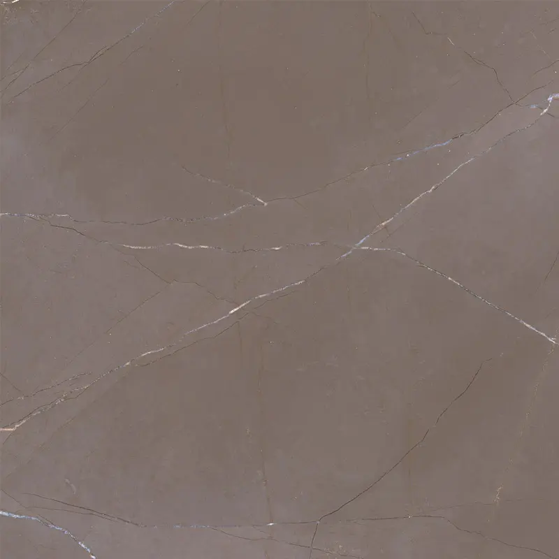 LE 66814 На пол Pulpis Gris Rectificado 60x60