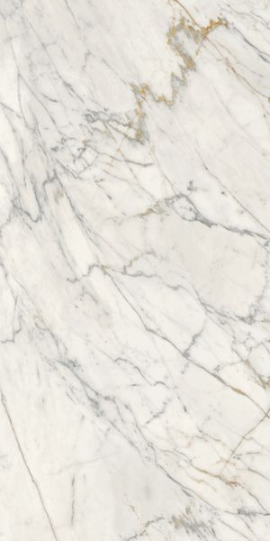 R6RL Напольный Maiora Marble Effect Calacatta Oro Glossy Rett - фото 2