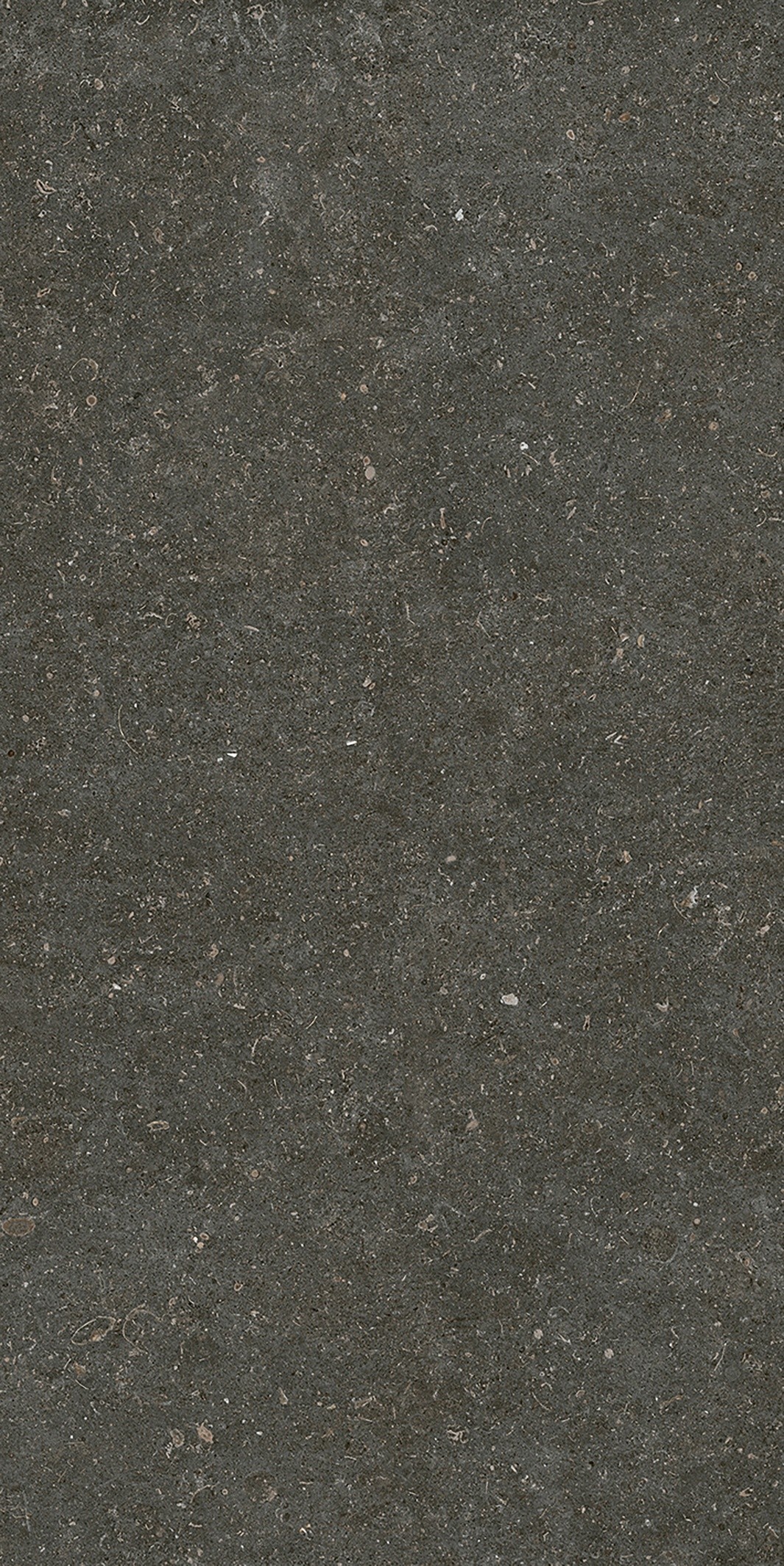 785577 На пол Rinascenza Arena Platino Matte 6mm 60x120 - фото 3