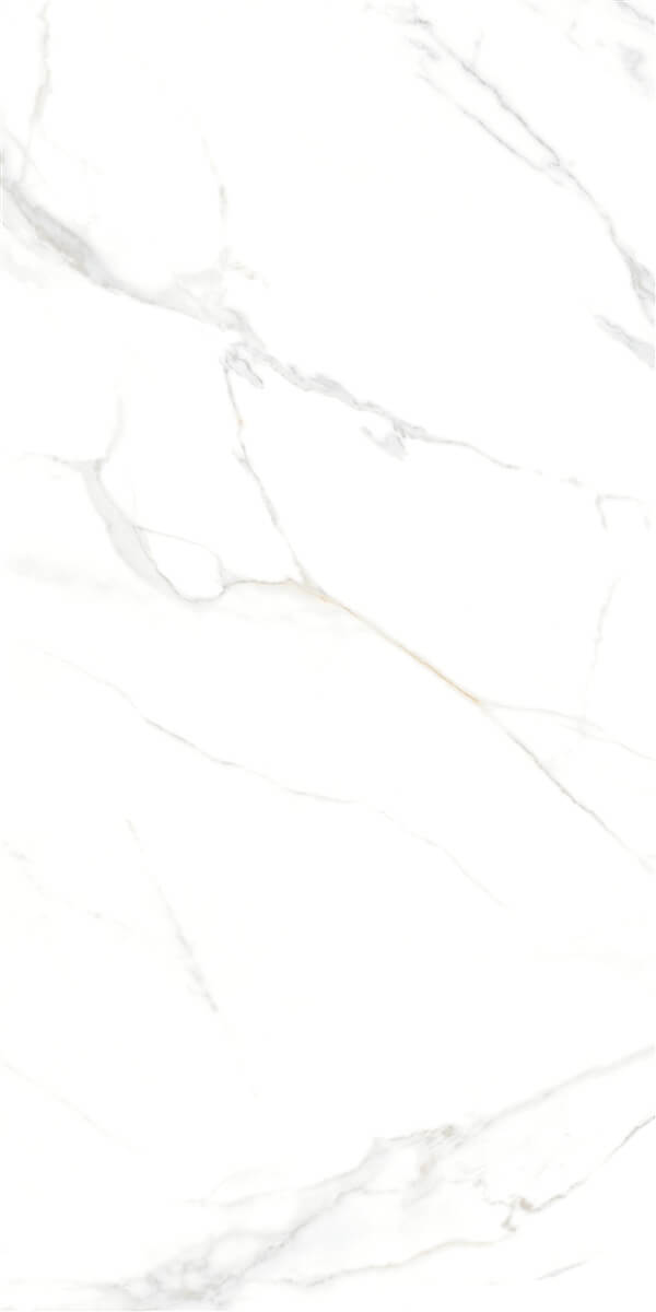 P15006 На пол Royal Marble White Polished Rect 10.3mm 60x120 - фото 4