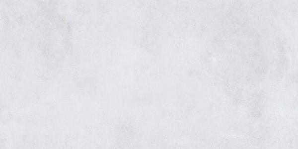 SN0L05M01 На пол Silent Light Grey 60x120