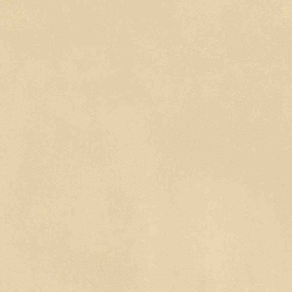 ENCLR6079MT2020 На пол Levels Avorio Matt 200х200х8 - фото 24