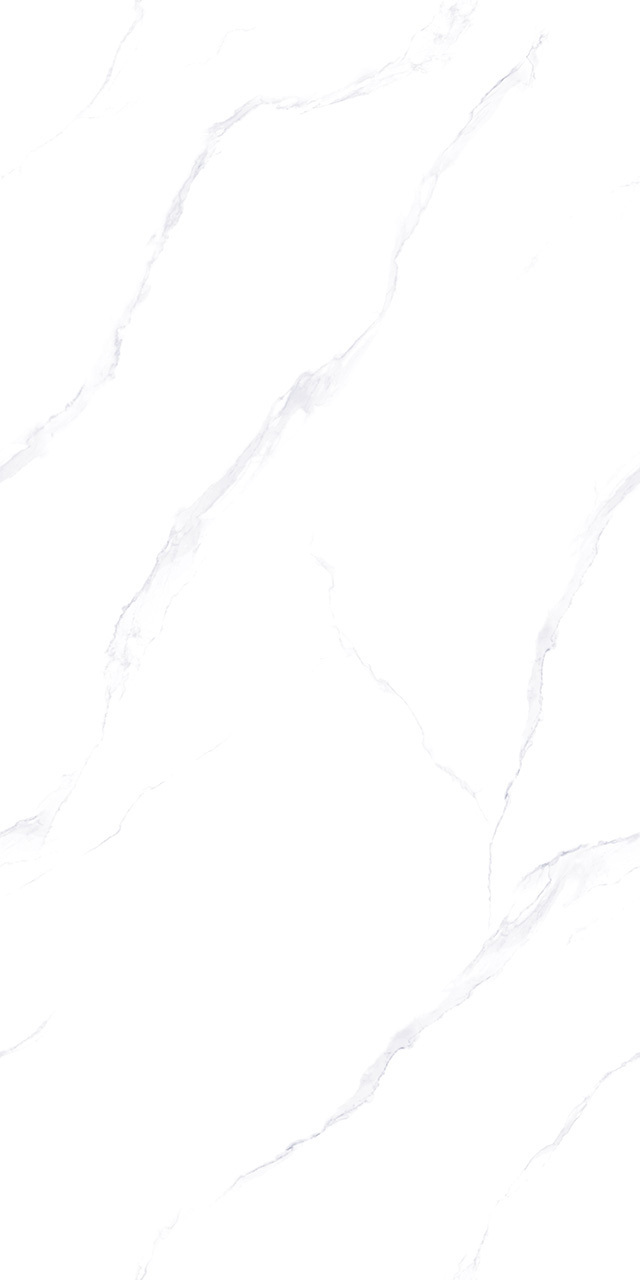 ZA-L12614 На пол Lande 614 PR 1200x600x9 - фото 4