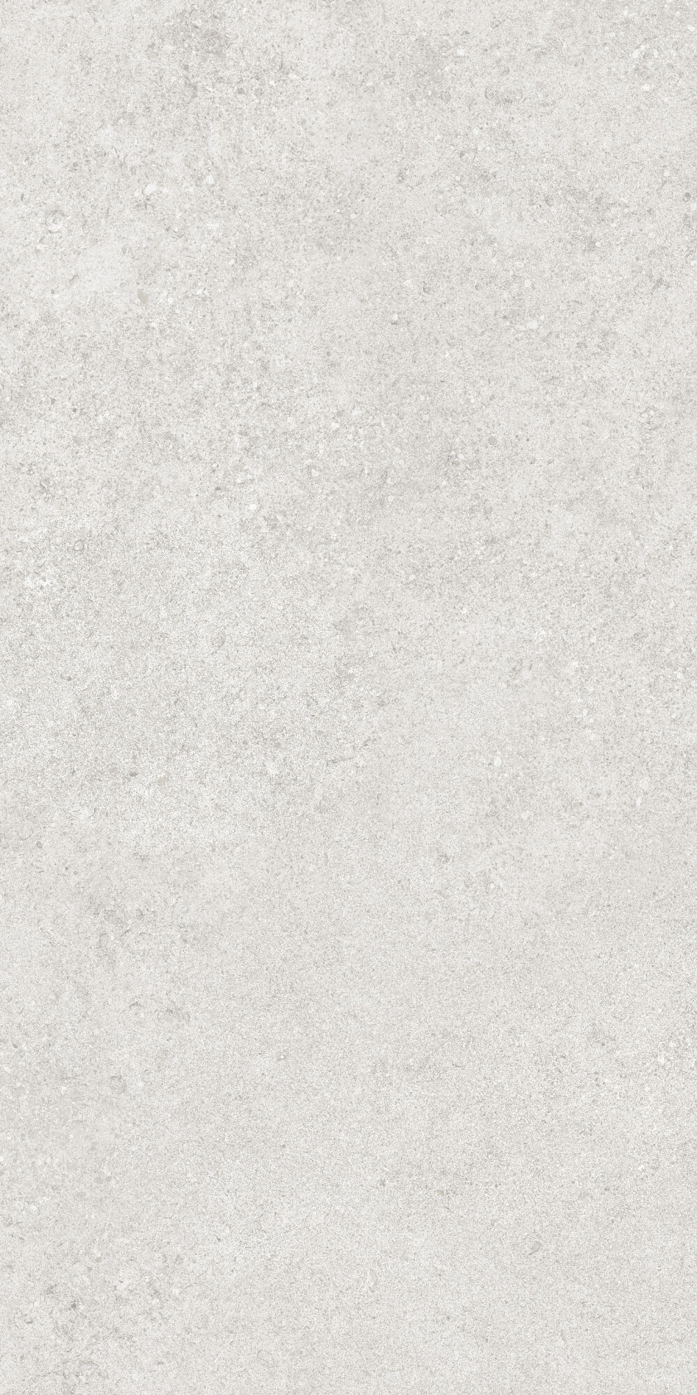 36904 На пол Cluny Silver 4D/50X100X2/A/R 50x100 - фото 10