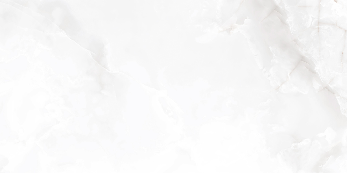 На пол Onyx Blanco PRO Светло-серый матовый R10Soft 60х120 - фото 11