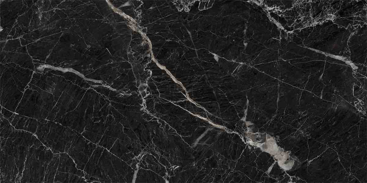 NTT9521M На пол Natural Stone Calacatta Black Mat 60x120 - фото 9