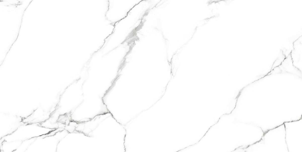 CV20222 На пол Classic Marble Mckinley Glossy 60x120