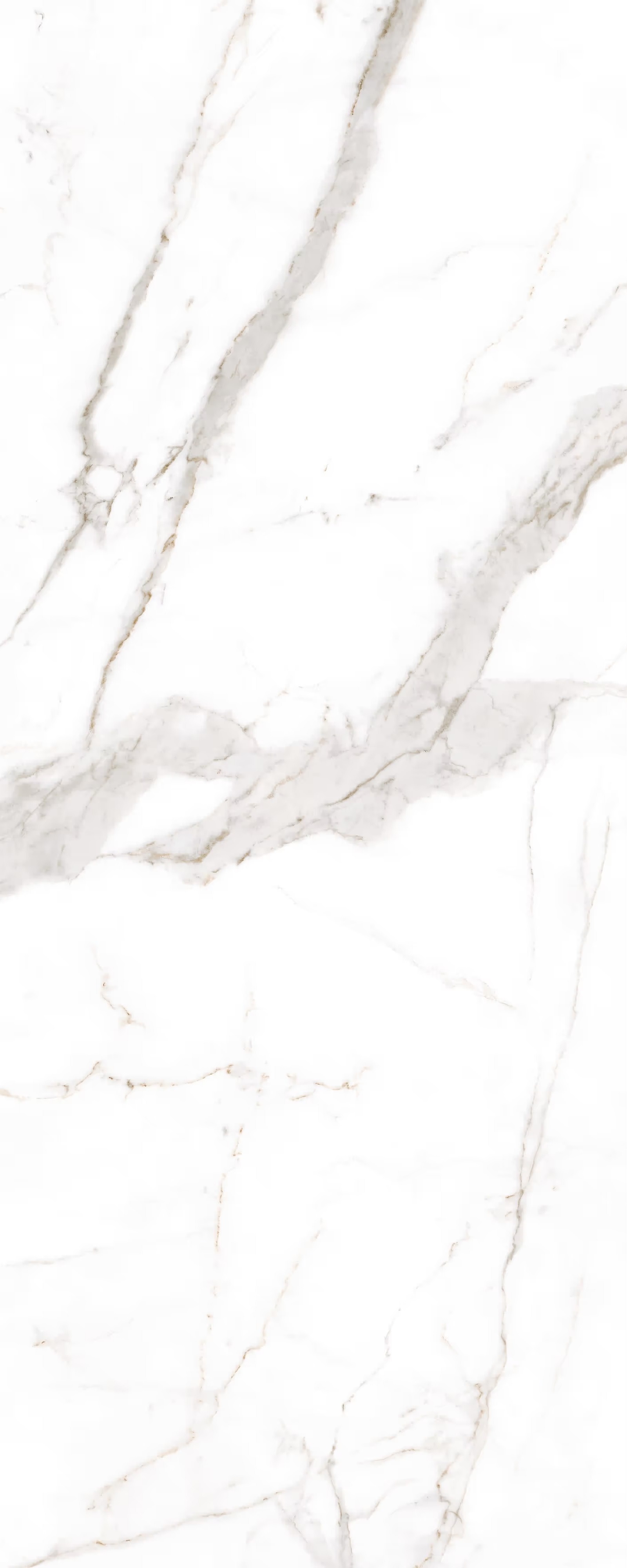 LAMFF01550_IT На пол I Naturali Marmi Calacatta Oro Venato Lucidato 5 1200x3000